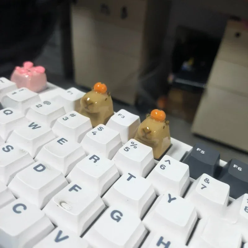 GMK+ Capibara Single Keycap