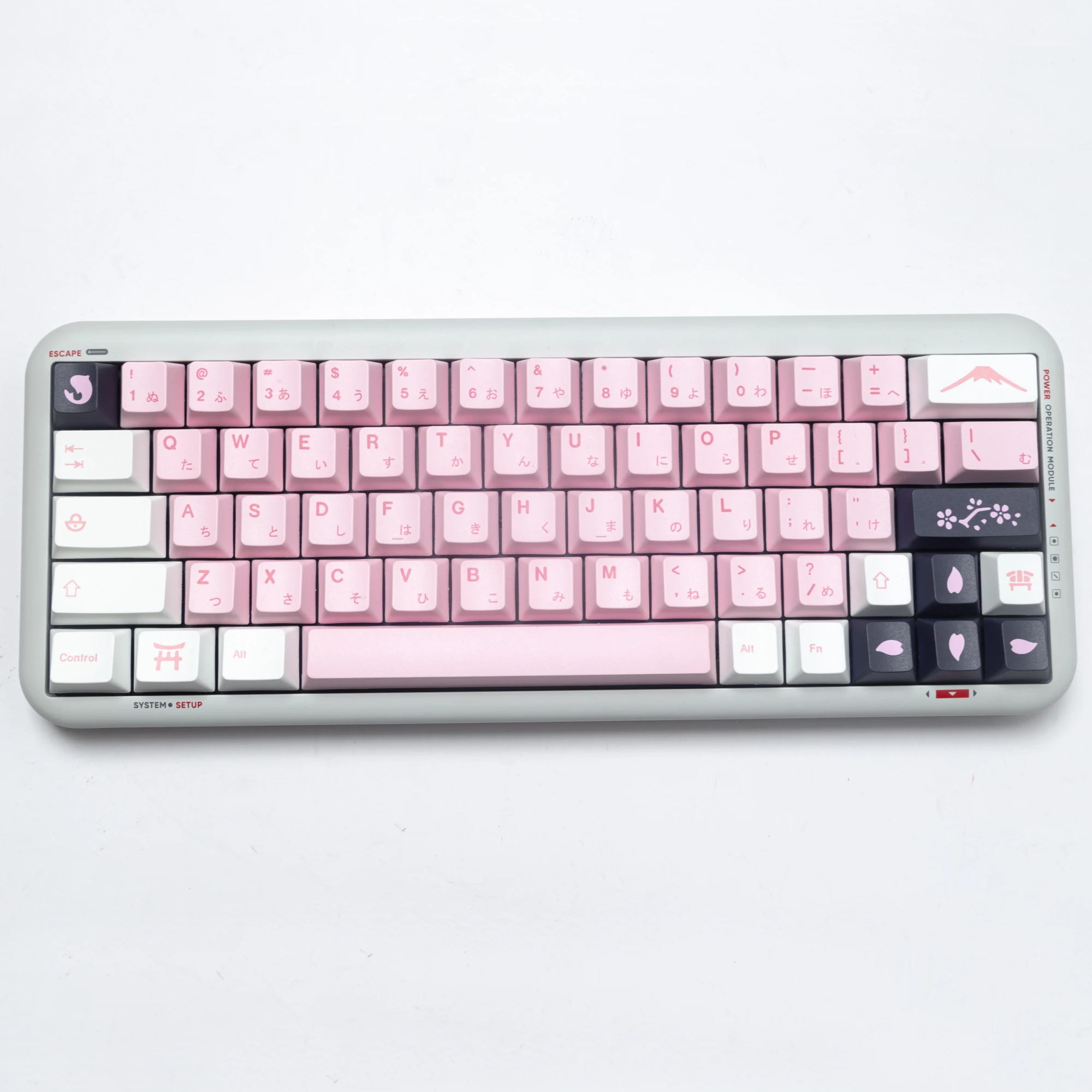 GMK+ Cherry Flower OEM Custom Keycap Set